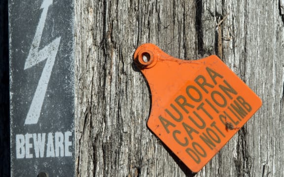 Sign on a power pole