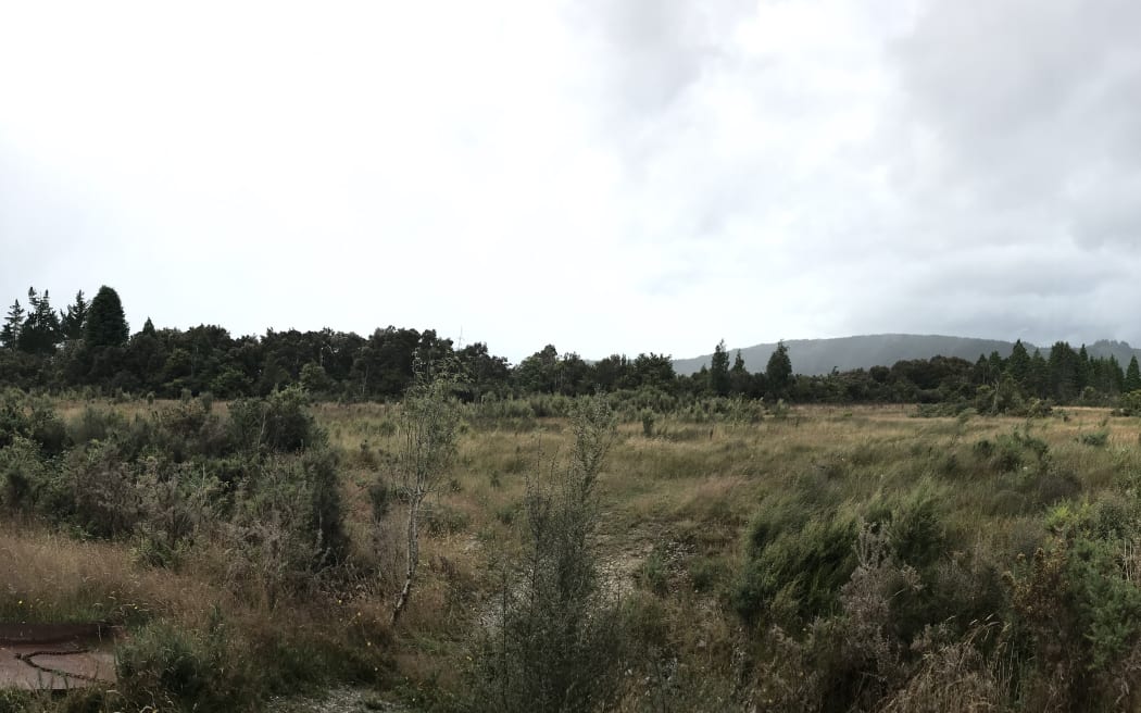A portion of Tony Barrett's land.