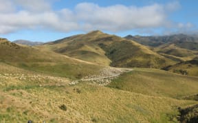 Mount Linton Station, Southland