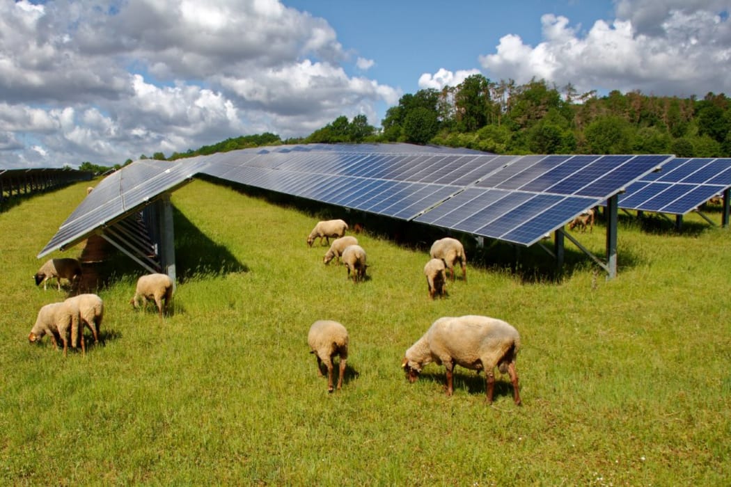 Artist’s impression of proposed Harmony solar farm for eastern Waikato.