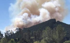 Pigeon Valley forest fire.