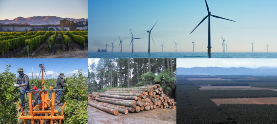 The NZ Super Fund has local investments like Kaingaroa Timberlands as well as viticulture, kiwifruit and other primary sector businesses.