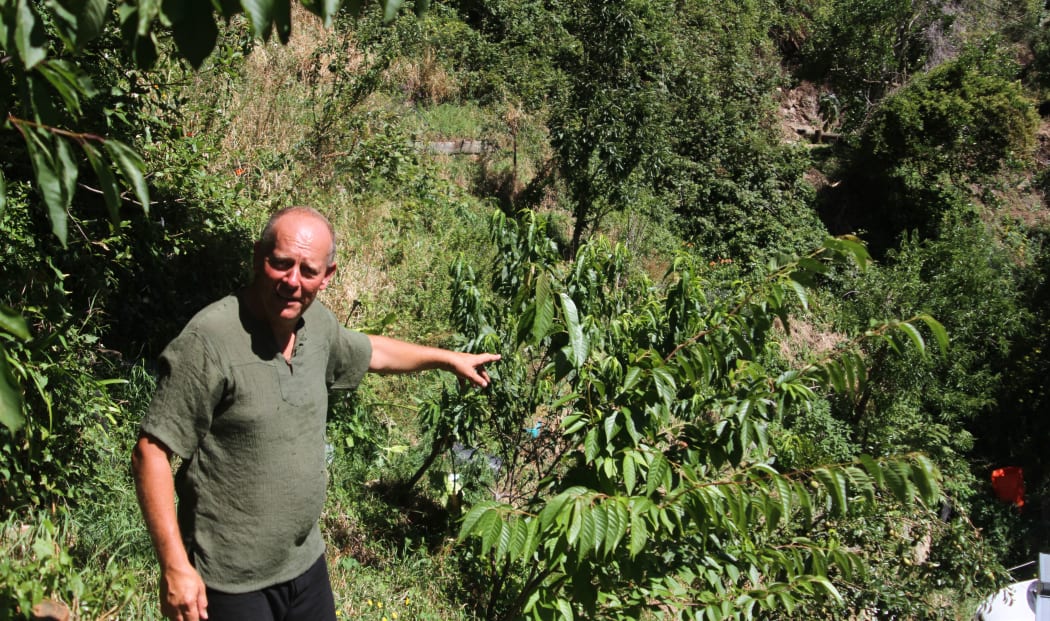Martin in his hillside orchard