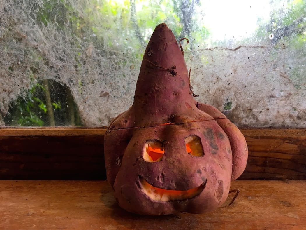 Turd emoji kumara
