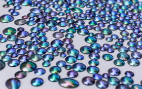 Pāua pearls from Arapawa
