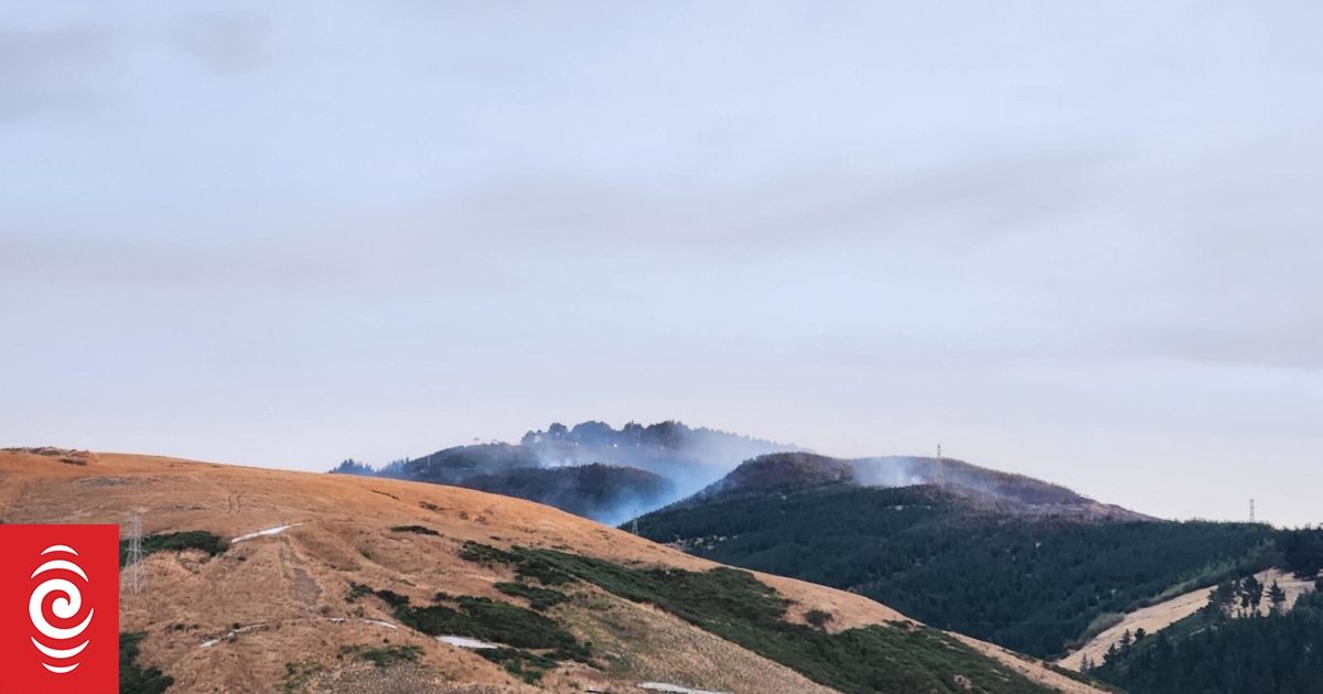 Christchurch Port Hills fire spreads, destroys home, families spend second night away - Vimarsana News