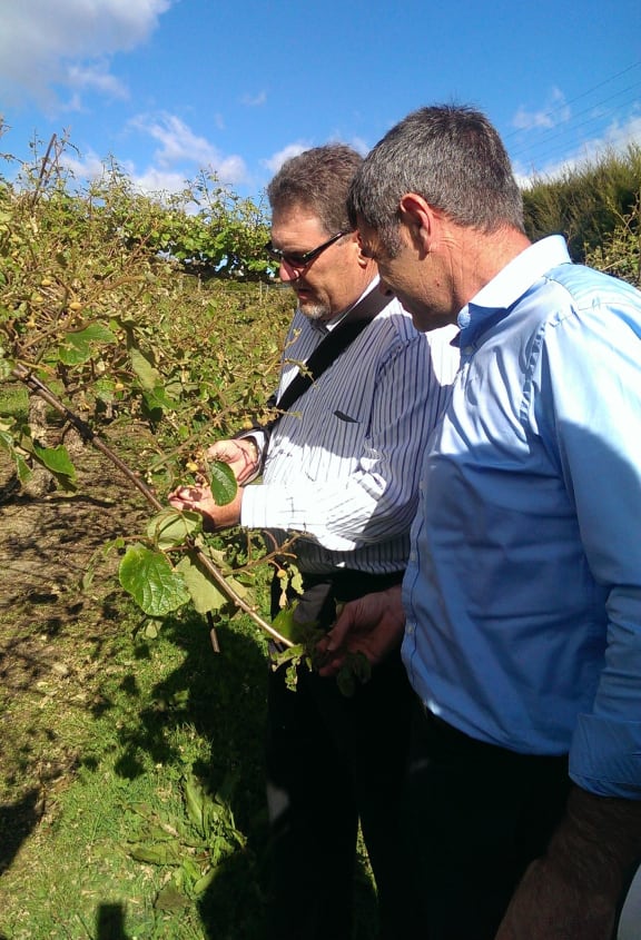 Ian Palmer, left, shows Nathan Guy the extent of the damage at a Riwaka orchard.