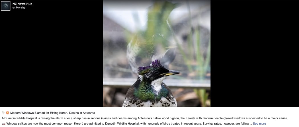 An AI generated image based off a legitimate RNZ story.