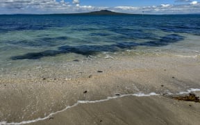 ocean, sea, beach, water, Auckland, Takapuna, Rangitoto, tide