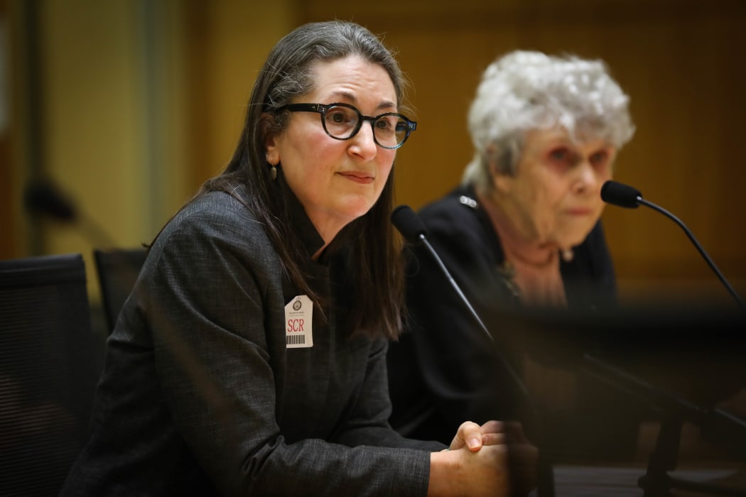 National President of ALRANZ Terry Bellamak speaks to the Abortion Legislation Committee