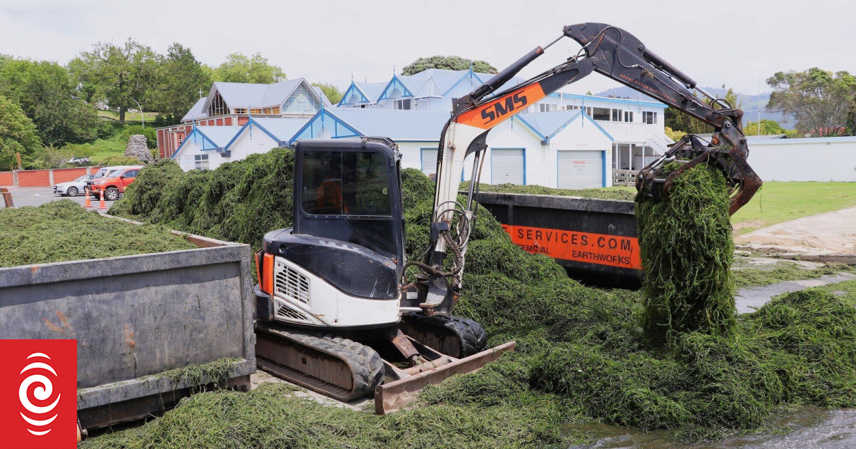Lake weed: Minister reviews funding after Rotorua clean-up costs over $133,000