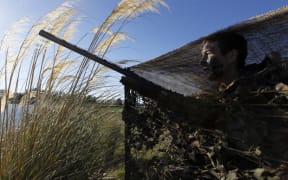 Duck shooting season becoming 'a family affair' - Fish and Game | RNZ News