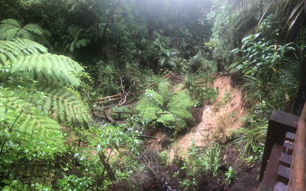 Damage in Le Roys Bush from slips following the Auckland Anniversary floods.