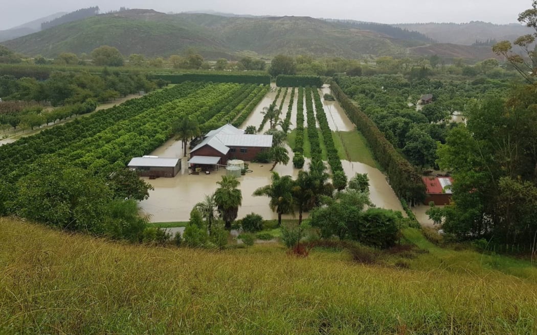 The Beekmans' Esk Valley property in a past flood.