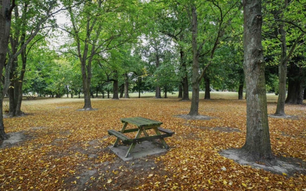 Marylands Reserve, Christchurch, one of two former sites of the notorious Marylands School.