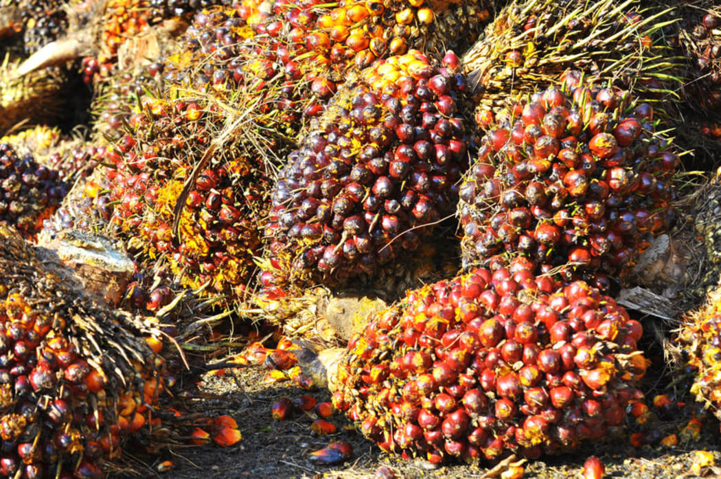 The MV Molat is carrying 23,000 tonnes of palm kernel