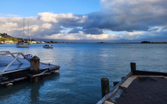 Scene at Moncks Bay after whale stranding