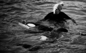 Rescuers and volunteers keep watch over a stranded baby orca at Plimmerton, Wellington.