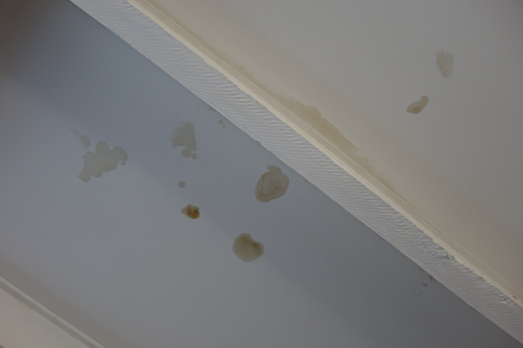 Water spots are seen in the home that Rose is renting in Dunedin.