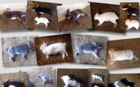 Rabbits that have died from RHVD2
