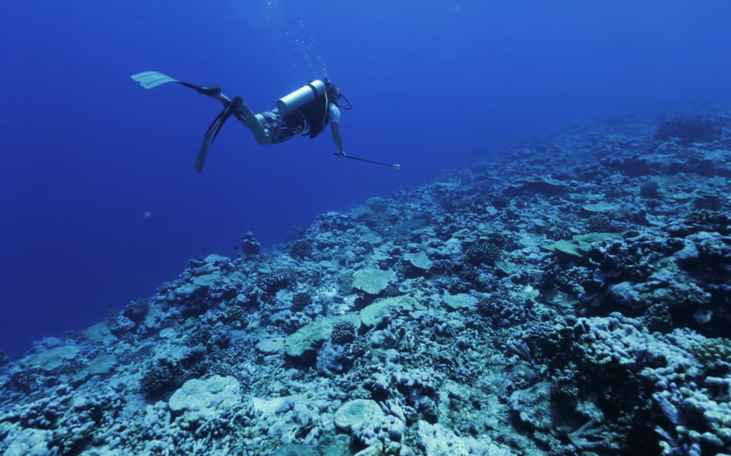 The multi-disciplinary team conducted surveys across all three atolls—Atafu, Nukononu, and Fakaofo—documenting marine biodiversity, lagoon health, invasive species presence, and bird populations while simultaneously training local community members in cutting-edge monitoring techniques.