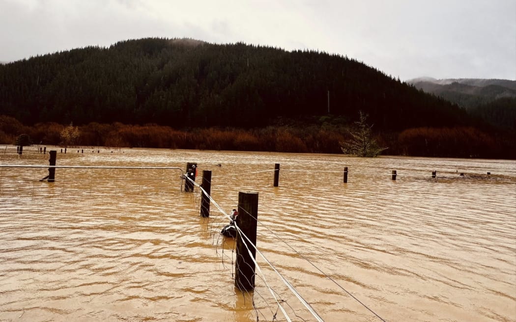 Floodwaters washed through Te Paranui Animal and Farm Sanctuary, near SH1 at Tuamarina, in Tasman, overnight between 27 and 28 June, 2025.