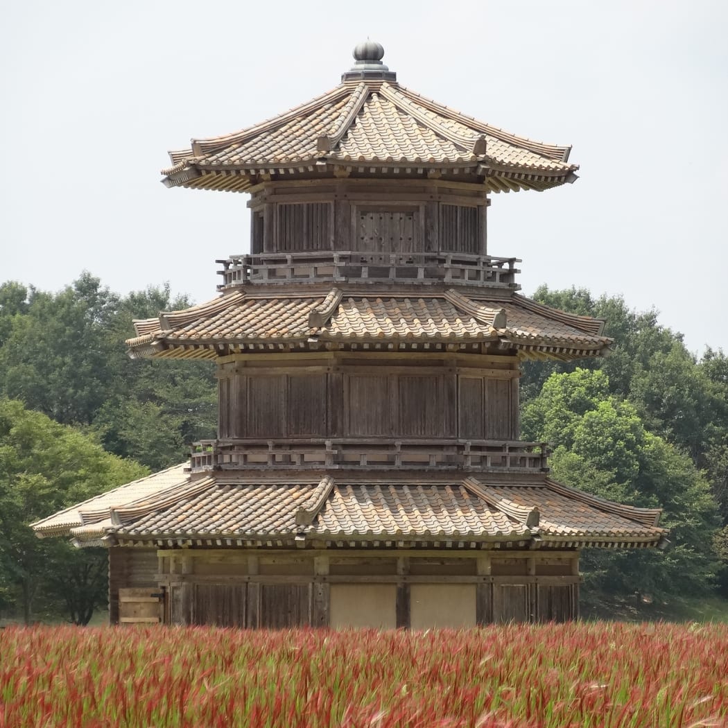 Kikuchi Castle