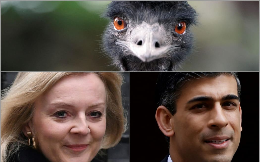 Rishi Sunak, Liz Truss and an emu