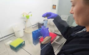 Daisy Lab - Emily McIsaac