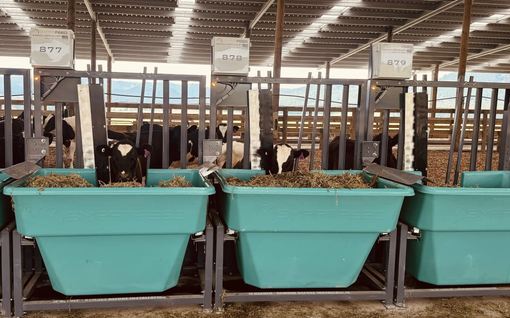 A new feed conversion efficiency and methane testing facility run by Pāmu Farms.
