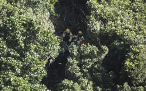Emergency services are at the scene on Paekākāriki Hill Road.