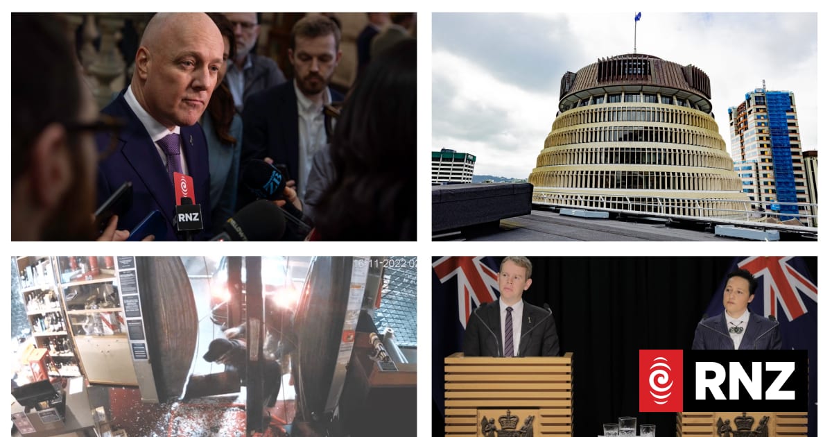 The Week in Politics: Labour strikes back - who's soft on crime now? | RNZ