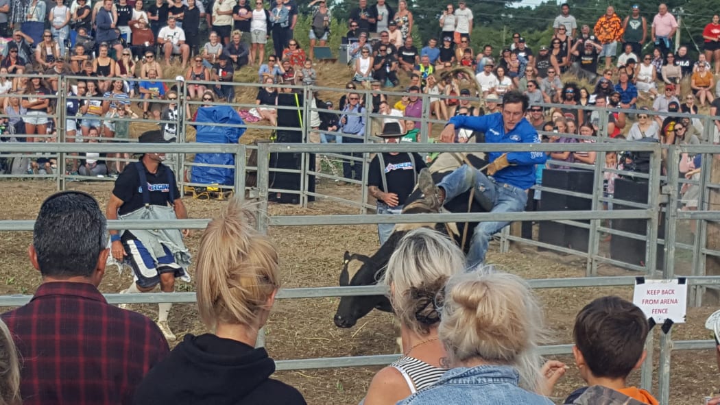 Rodeo dismount at Martinborough's Pukemanu Bull Ride, february 1