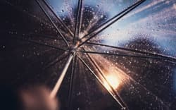 Rain on an umbrella at night.