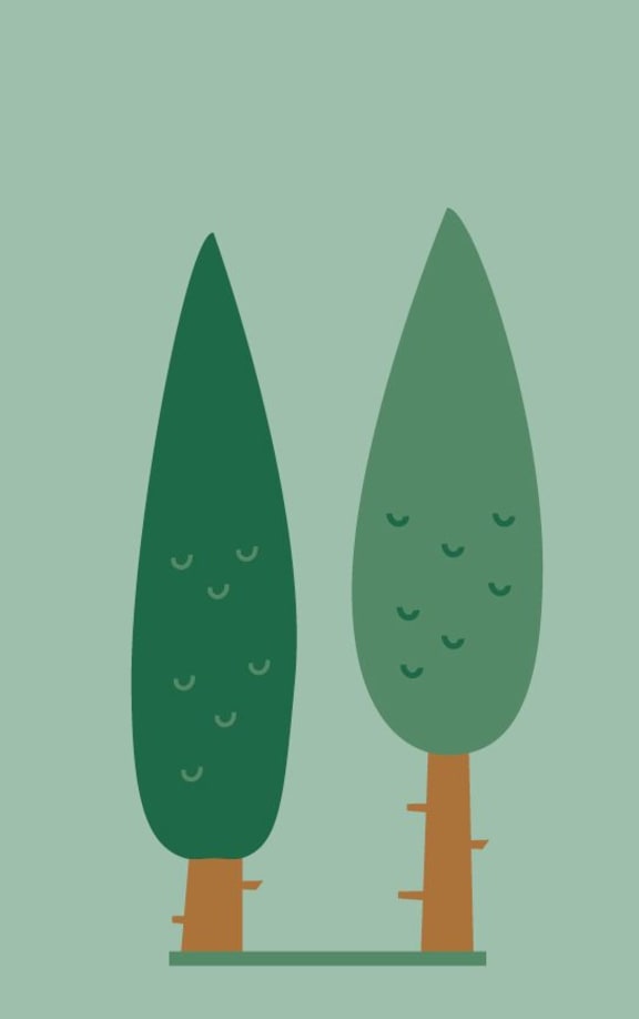illustration of two pine trees