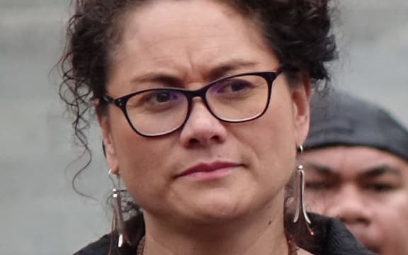 Labour MP Louisa Wall's marriage equality bill passed into law in 2013