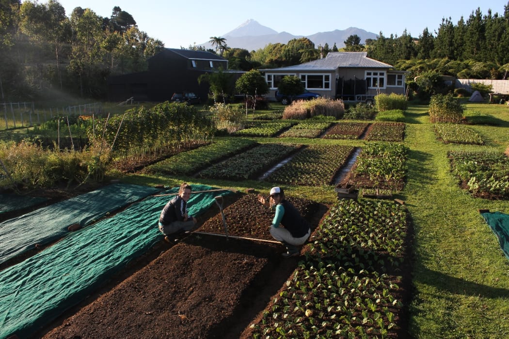 Jodi Roebuck and partner Tanya Mercer at work on their edible farm at Omata.