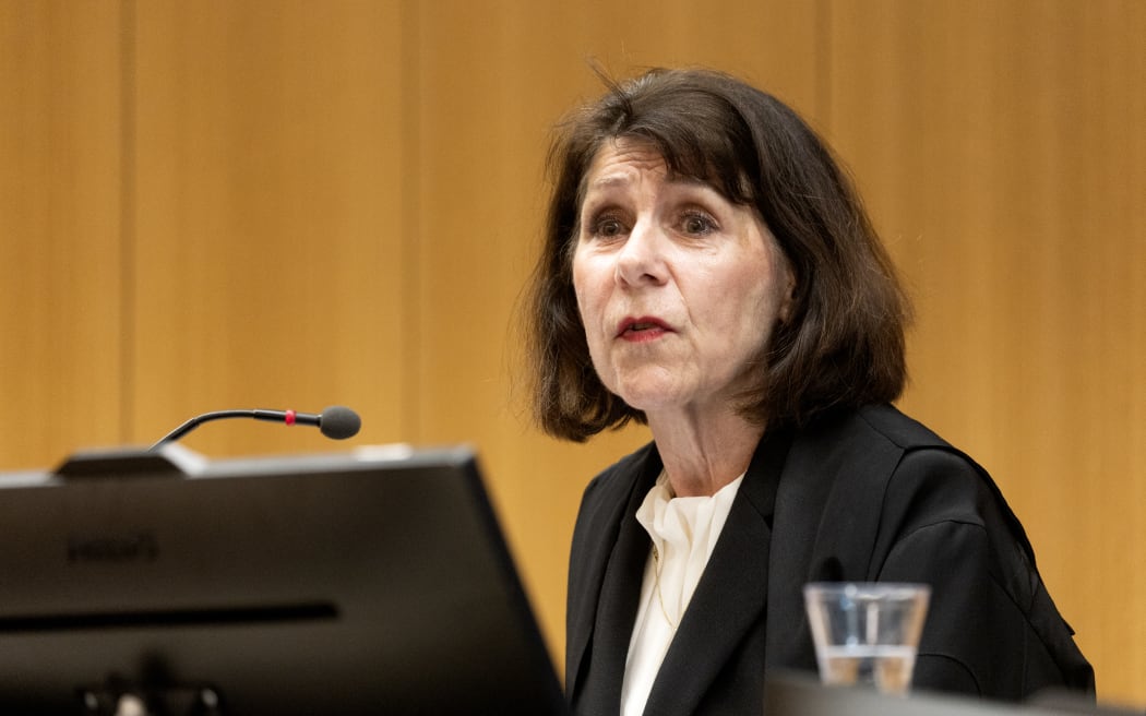 Elliot Alfred James Cameron was sentenced in the Christchurch High Court on Tuesday morning. Justice Rachel Dunningham 10 July 2025 New Zealand Herald photography by by George Heard