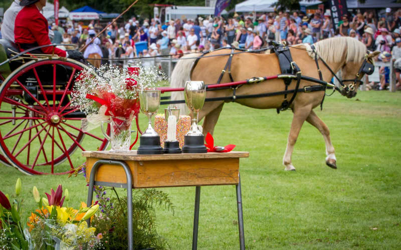 A&P Show events offer cracking line-ups free from pandemic disruptions ...
