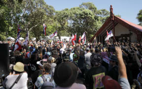 The hikoi on the Waitangi Treaty Grounds.