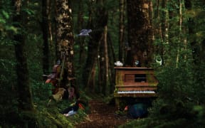 An upright piano rests against the trunk of a tall tree in New Zealand native forest. Native birds sit on top of the piano.