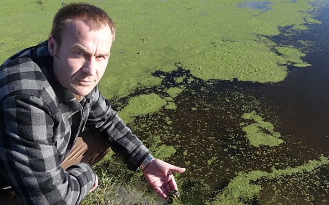 Fish and Game officer crouches beside canal of brown water topped by green algae
