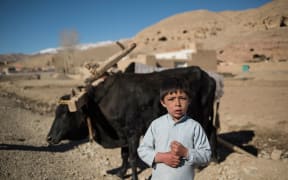 A boy in a village in Bamyan Province, Afghanistan. Seven children were killed by unexploded ordnance left in firing ranges used by New Zealand forces in the area.