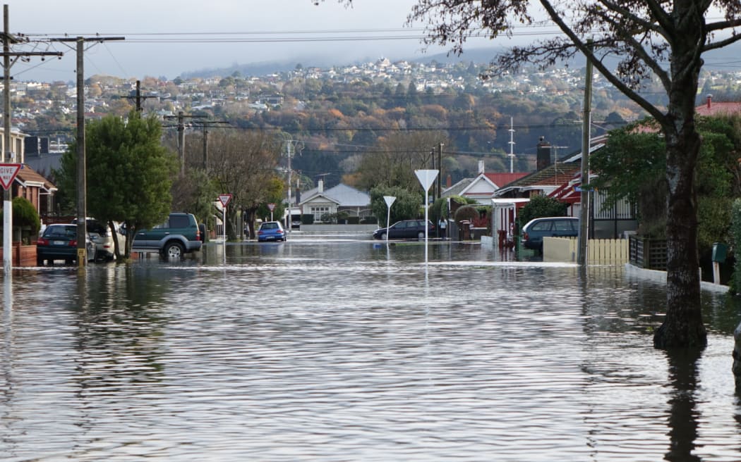 Floodprone South Dunedin Council says no options ruled out in dealing