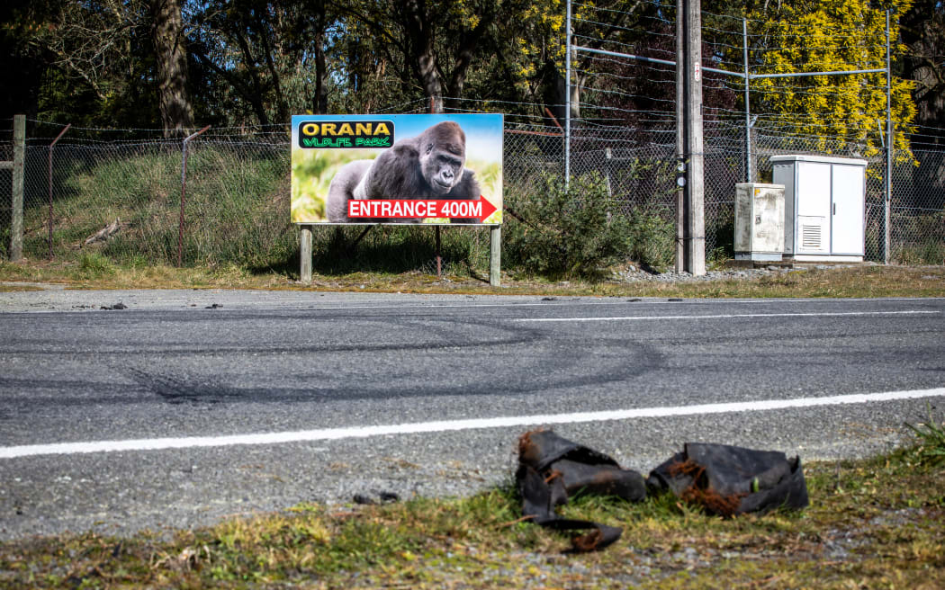 McLeans Island Road, Christchurch