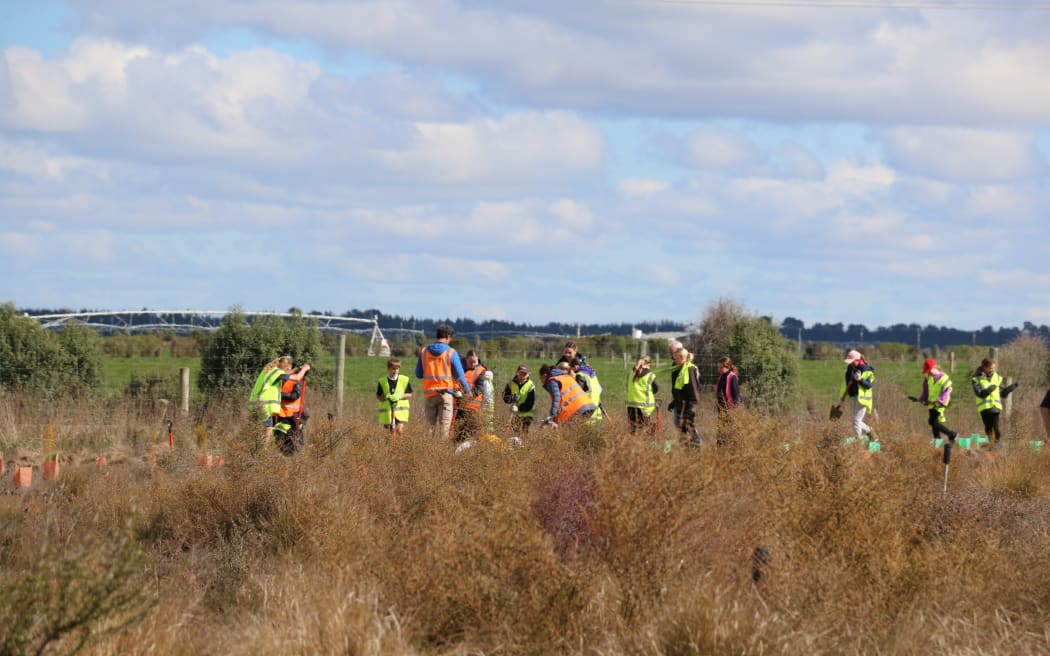 The Eyrewell skink habitat restoration school day