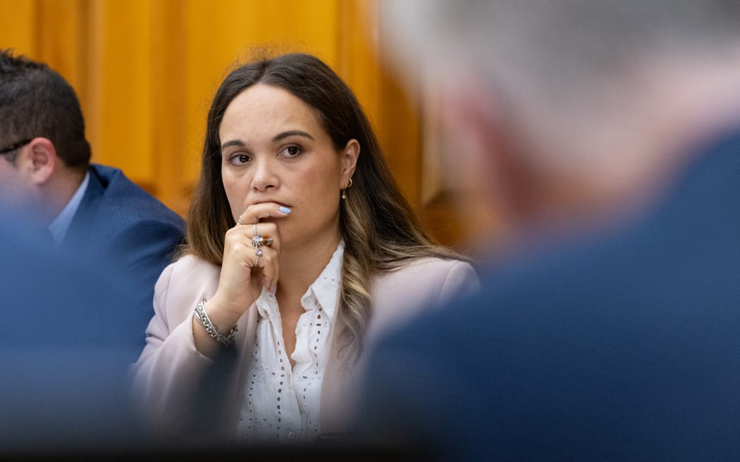 Labour Party MP Arena Williams in select committee in February 2024.