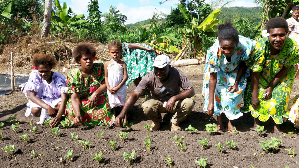 UNDP supported programme in Vanuatu to share farming techniques to improve resilience to climate change. Aug 2015.