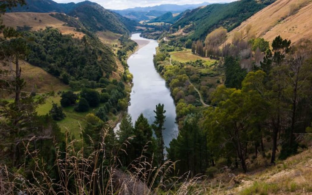 The Whanganui River, also known as Te Awa Tupua.