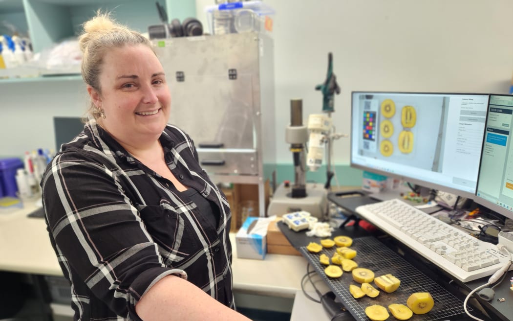 Megan Wood standing in front of kiwifruit samples as she tests them as part of the research at the Kiwifruit Breeding Centre